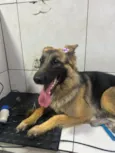 Athena