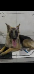 Athena