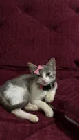 Zoe