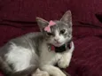 Zoe