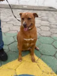 Kiki