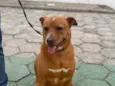 Kiki