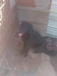 Lucky 