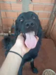 Lucky 