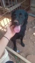 Lucky 