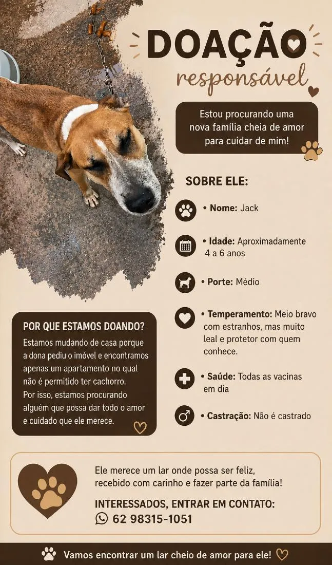 Cachorro raça SRD-ViraLata idade 3 anos nome Jack
