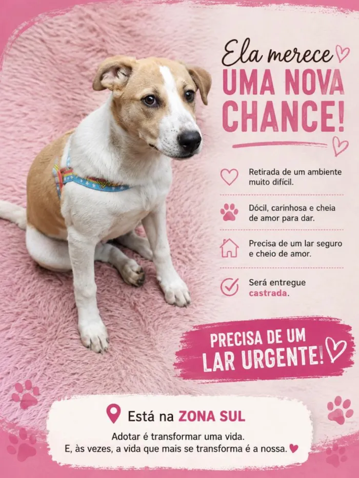 Cachorro raça SRD-ViraLata idade 7 a 11 meses nome Menina