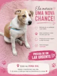 Menina