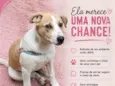 Menina