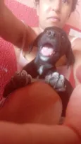 Fred, luna