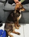 Grandão 