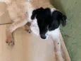 Théo