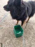 ?