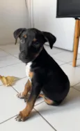 Xaveco