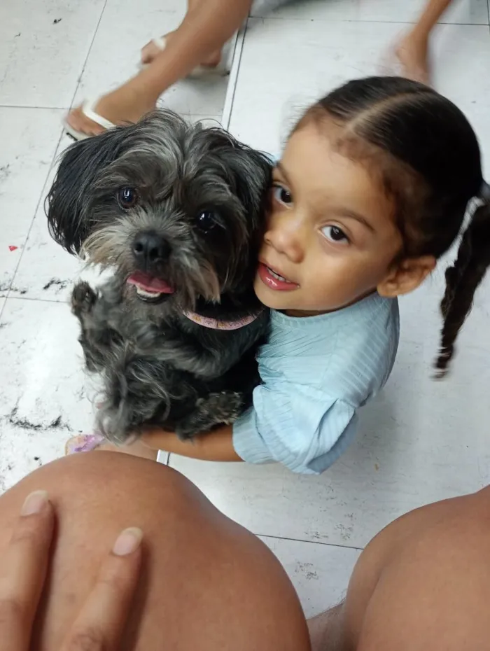 Cachorro raça SRD-ViraLata idade 5 anos nome princesa 