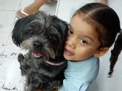 Cachorro raça SRD-ViraLata idade 5 anos nome princesa 