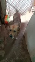 kira e dora 