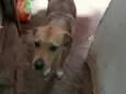 kira e dora 