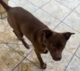 Mel