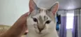 Tom