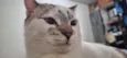 Tom