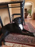 Zeus