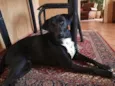 Zeus