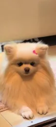 Chloe