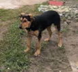 Zeus