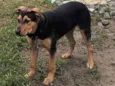 Zeus