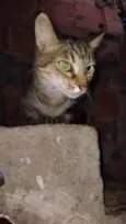Miúda