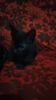 Jiji