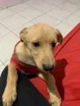 Zac