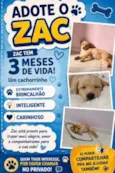 Zac