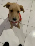 Zac