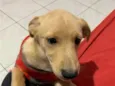Zac