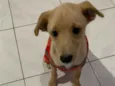 Zac