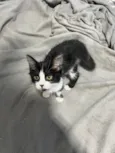 Chloe