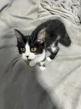Chloe