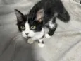 Chloe