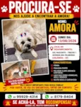 Amora