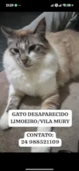 Didico