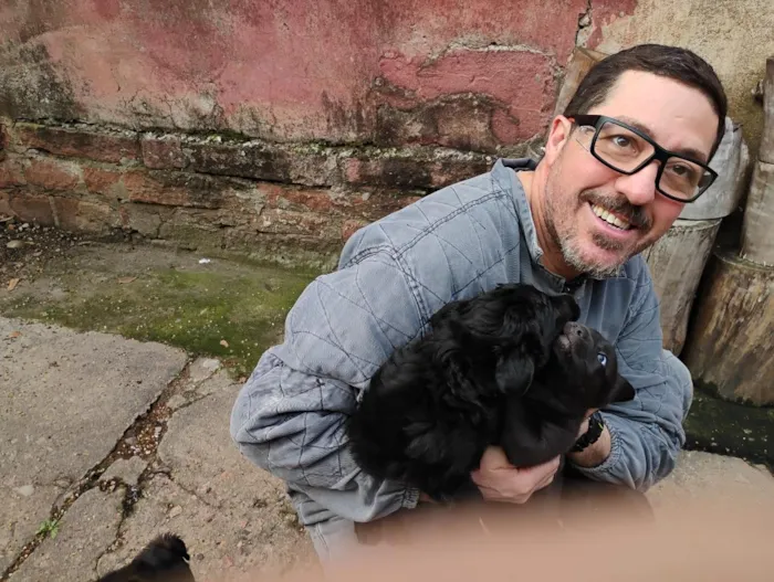 Cachorro raça SRD-ViraLata idade Abaixo de 2 meses nome Filhotes 