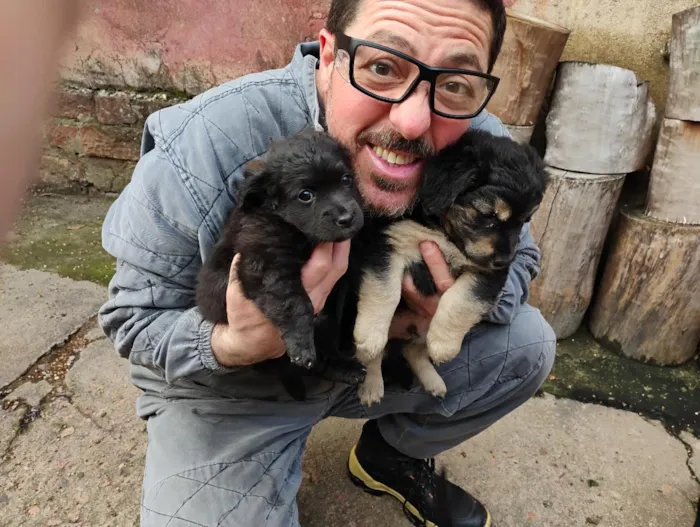 Cachorro raça SRD-ViraLata idade Abaixo de 2 meses nome Filhotes 