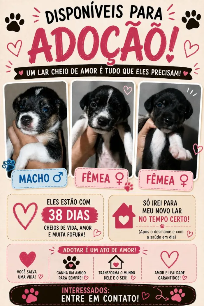 Cachorro raça SRD-ViraLata idade Abaixo de 2 meses nome 3 filhotes 