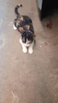 Mel