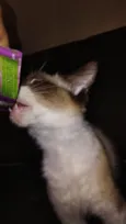 máscara