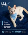 Yuki