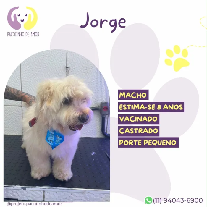 Cachorro raça SRD-ViraLata idade 6 ou mais anos nome Jorge