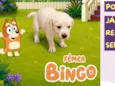 Bingo